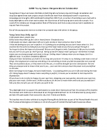 Intergenerational initial Report