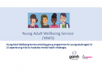 Young Adult Wellbeing Service – Powerpoint_120621opt
